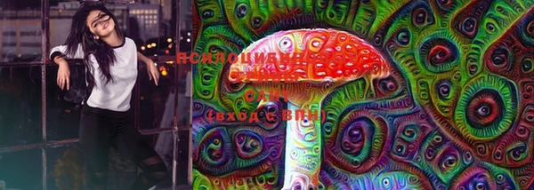 винт Киренск