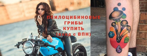 2c-b Касимов