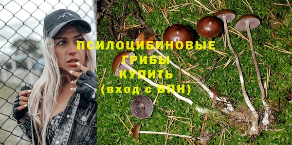 2c-b Касимов