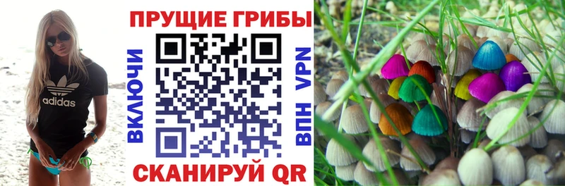 Галлюциногенные грибы мицелий  Семилуки 